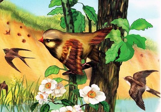 Птичий год. Весна. Прилет, пролет, отлет