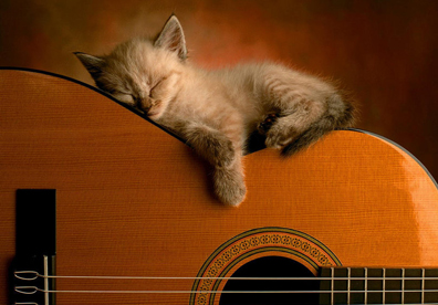 Засыпаем под гитару